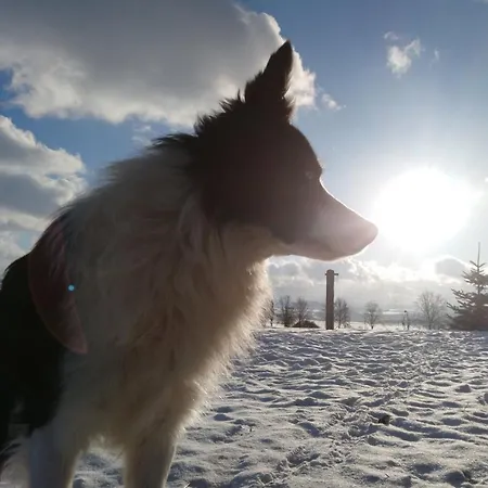 Apartmán Agroturystyka U Asi - Wakacje Blisko Przyrody & Slow Food Bozkow