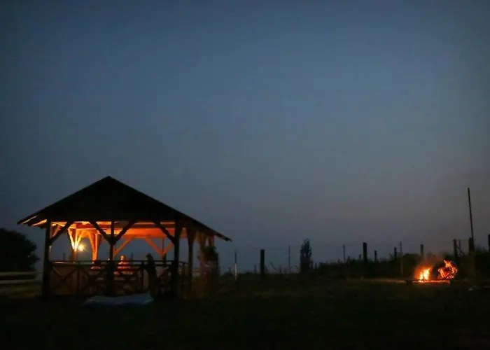 U Asi - Wiosna Budzi Sie W Kotlinie Klodzkiej Bozkow