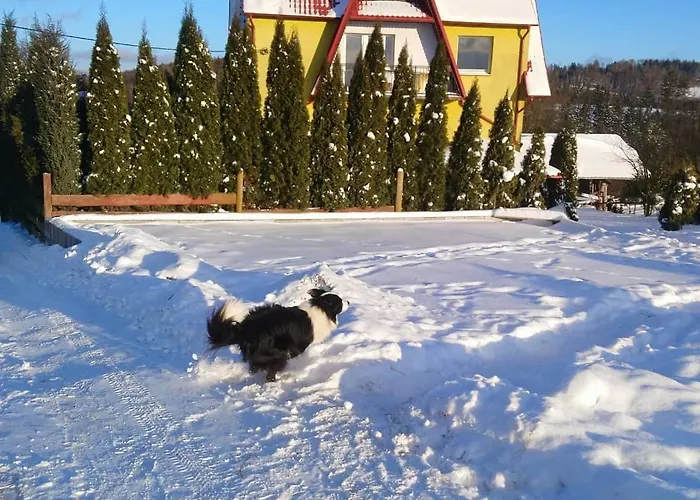 U Asi - Wiosna Budzi Sie W Kotlinie Klodzkiej *
