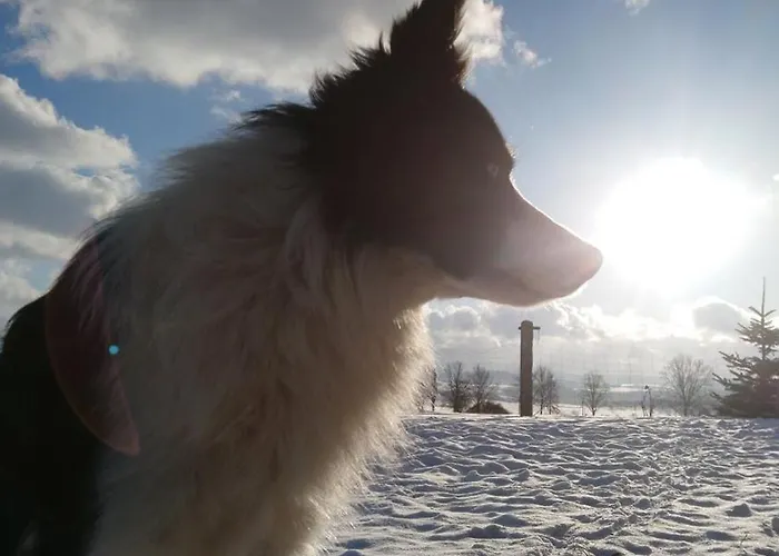 Apartment U Asi - Wiosna Budzi Sie W Kotlinie Klodzkiej Bozkow